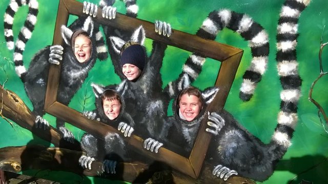 zoo 30